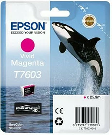 Kartrixh boje Epson T7603 Vivid Magenta, High Capacity 25.9ml