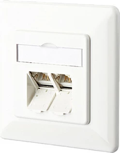 Prizë rrjeti METZ CONNECT BTR NETCOM 130C381002-I, RJ-45 Cat6a, 2x port, e bardhë