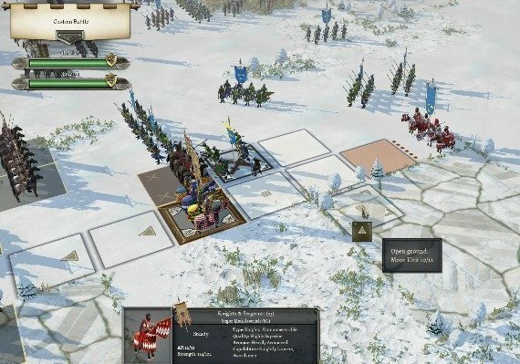 Field of Glory II: Medieval - Storm of Arrows DLC EN/DE/FR/ES Global