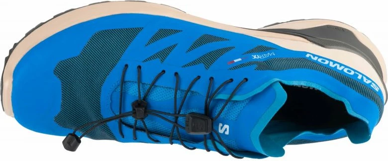 Atlete për meshkuj Salomon, të kaltra