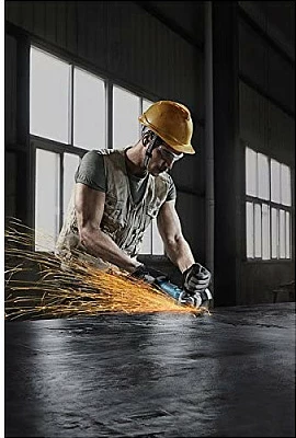 Brushe Bosch GWS 9-125 S Professional, 900W, 12.5cm, 11000 RPM