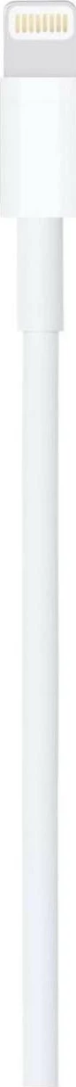 Kabëll Apple USB-A - Lightning 1.0m, i bardhë