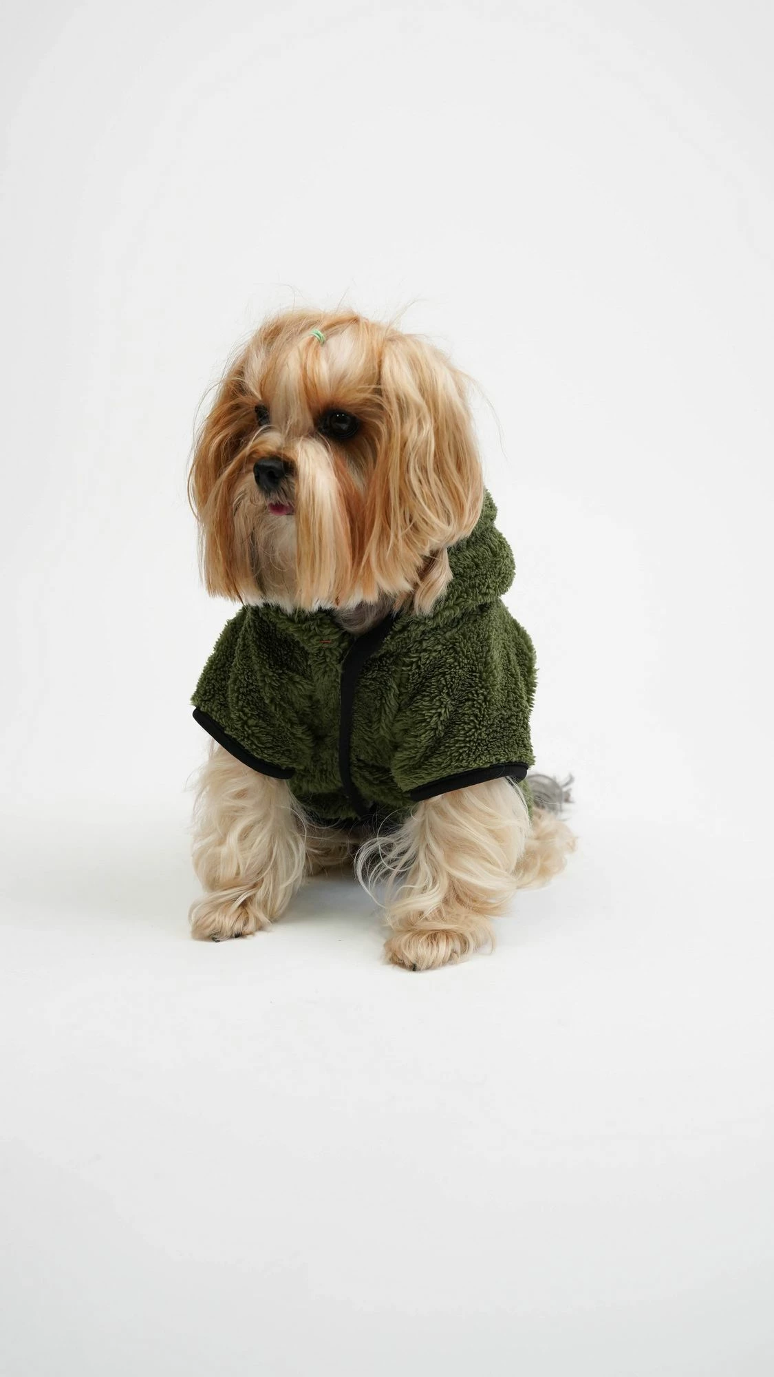 Bluze me kapuç për qen, Froggy, material welsoft, e gjelbër