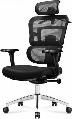 Karrige zyre Mark Adler Expert 4.9 ergonomike me rrjetë HD Mesh, mbështetëse koke, krahë 4D, me rrota, e zezë