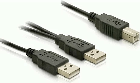 Kabllo USB 2.0 Y DeLOCK, 2x USB-A në USB-B, 1 m, 480 Mbps, e zezë