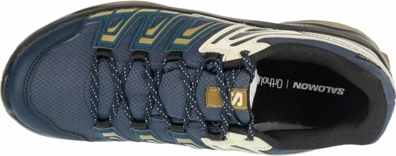 Atlete për meshkuj Salomon, të kaltra