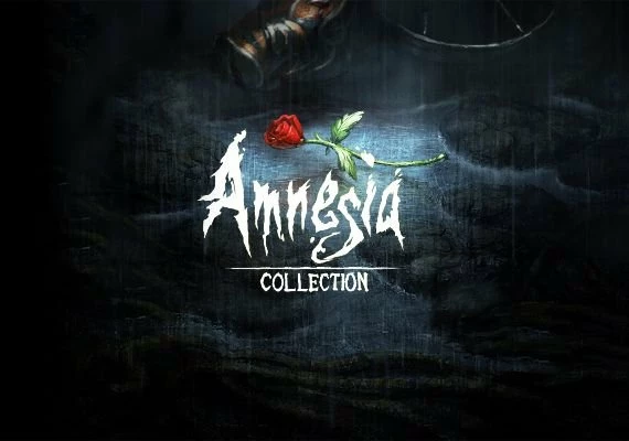 Amnesia - Collection Global