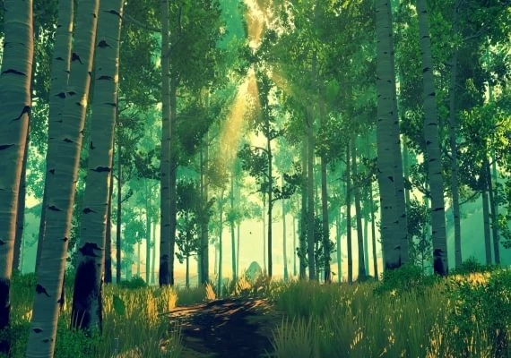 Firewatch EN/DE/FR/JA/RU/ZH/ES Global