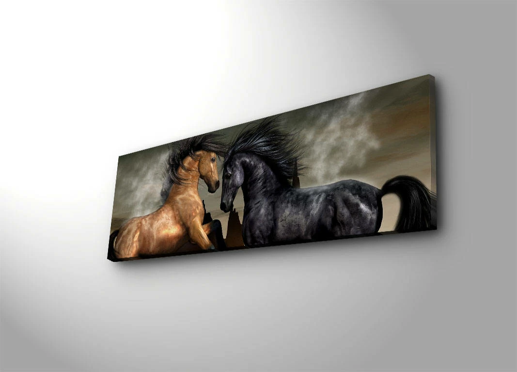 Pikturë dekorative në kanavacë me drita LED, shumëngjyrëshe, 30x90cm, 3090İACT-45