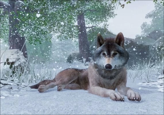 Planet Zoo Deluxe Edition Global