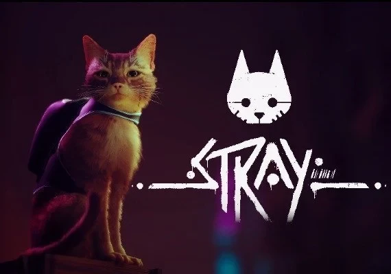 Stray Global