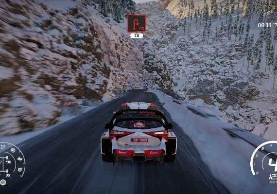 WRC 8 FIA World Rally Championship Global