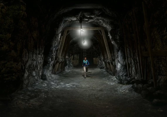 Secret World Legends - Dawn of the Morninglight DLC Collector's Edition EN/DE/FR Global