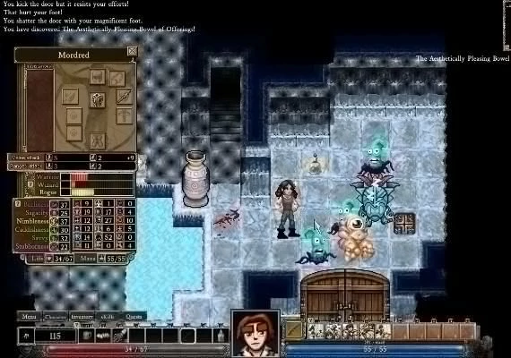 Dungeons of Dredmor - Complete EN Global