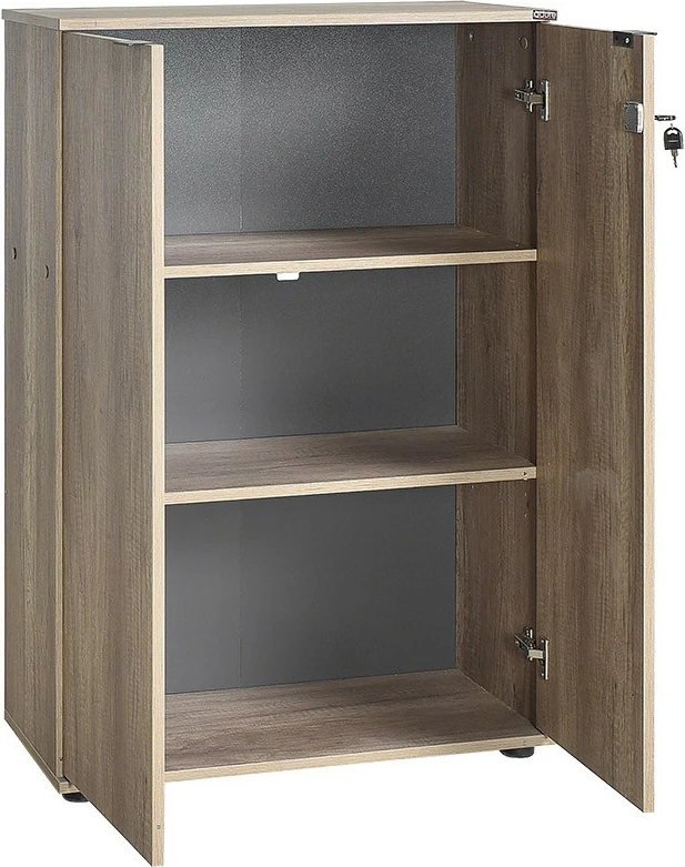 Raft librash Hanah Home, Rkt-332-Tt-1, ngjyrë arre e çelët