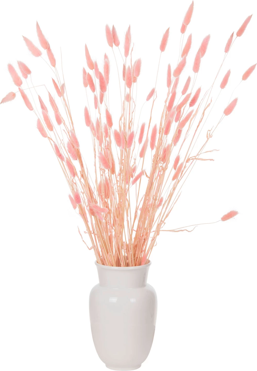 Buqetë dekorative e tharë, bisht lepuri, FH7960, rozë, 75H cm