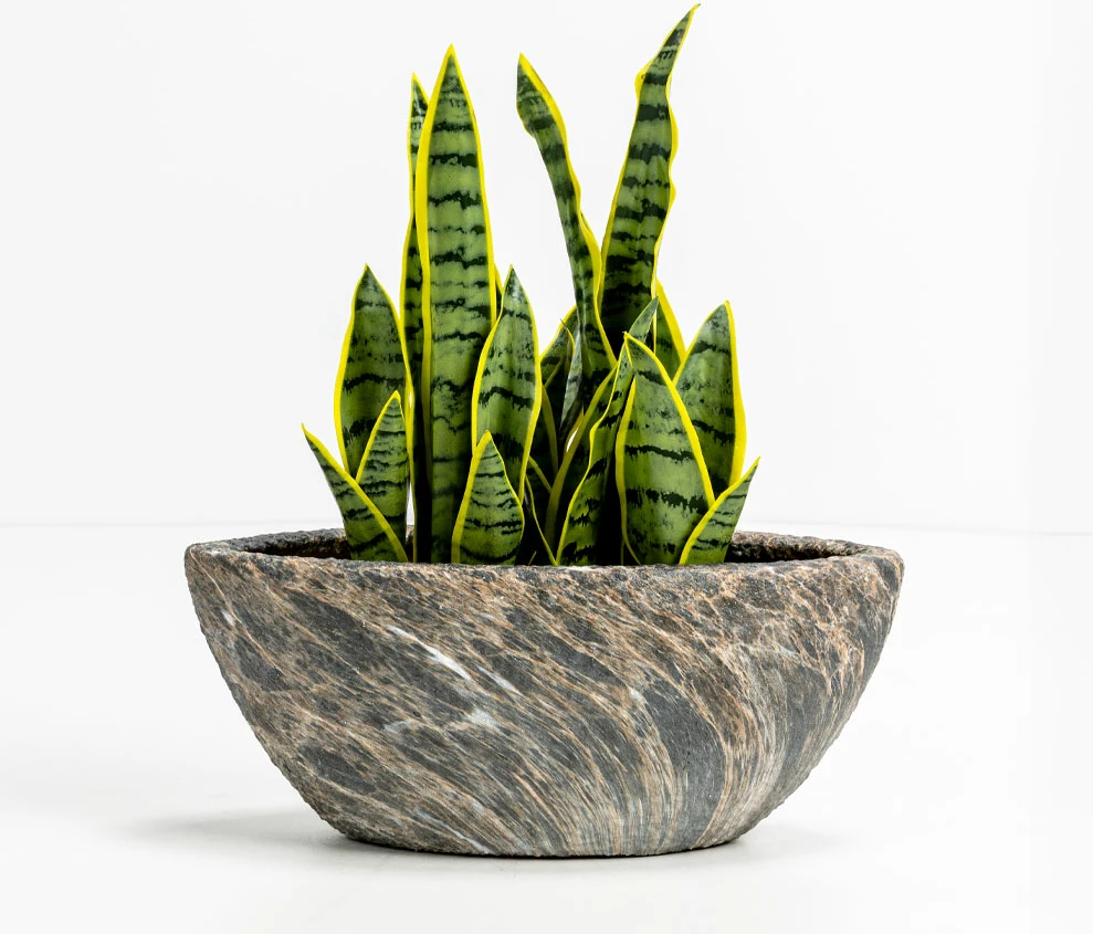 Set vazo GASHER, 2 copë, qeramikë, antracit-bezhë, 46x22x20