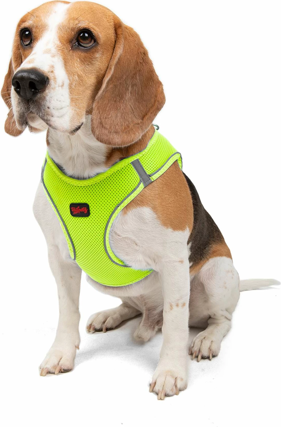 Parzmore për qen, Air-Mesh, ngjyrë Neo Lime