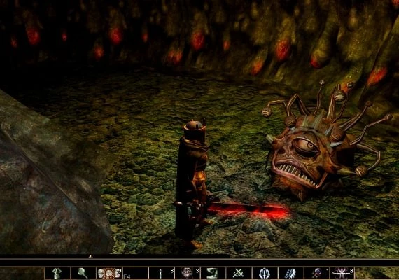 Neverwinter Nights Enhanced Edition EN/DE/FR/IT/PL/ES Global