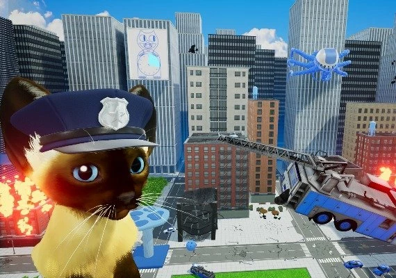Kitten'd Global