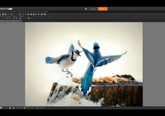 Corel PaintShop Pro x9 EN Global