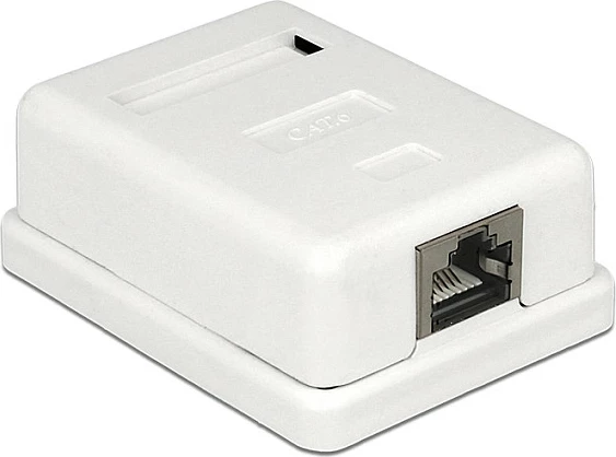Prizë rrjeti DeLOCK 86169, RJ-45, 1 portë, montim sipërfaqësor, e bardhë