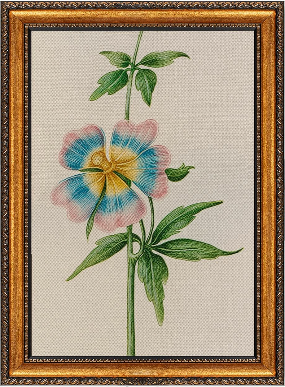 Pikturë dekorative në kanavacë me kornizë, shumëngjyrëshe, ATCRCVCNVSMDL5, 50x70cm