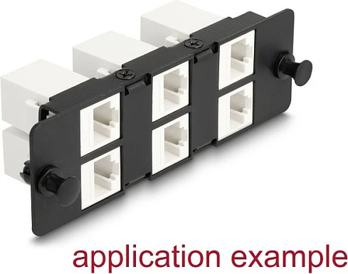 Panel adapter DeLOCK Keystone 6-port, 1U rack, metal, i zi