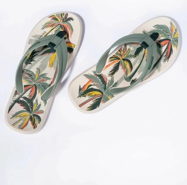 Flip-flopa për meshkuj Ipanema, shumëngjyrëshe [Madhësia: 42]