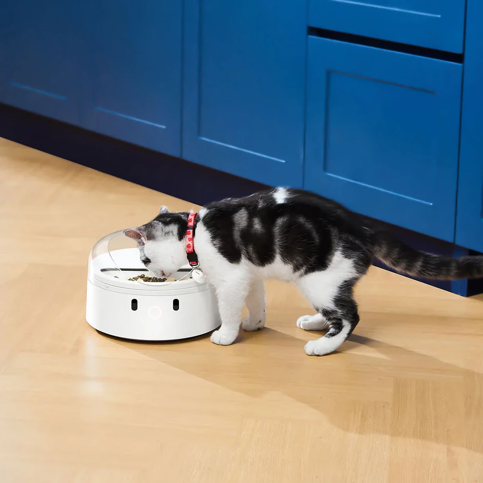 Dispenser smart ushqimi për mace Catlink F03, 400 ml, RFID + njohje fytyre, i bardhë, set me qafore + RFID tag