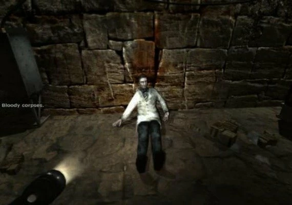 The Penumbra Collection EN Global