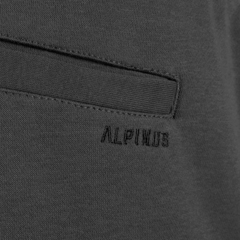 Shorce për meshkuj Alpinus, gri [Madhësia: M]