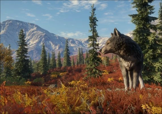 theHunter: Call of the Wild - Yukon Valley DLC Global
