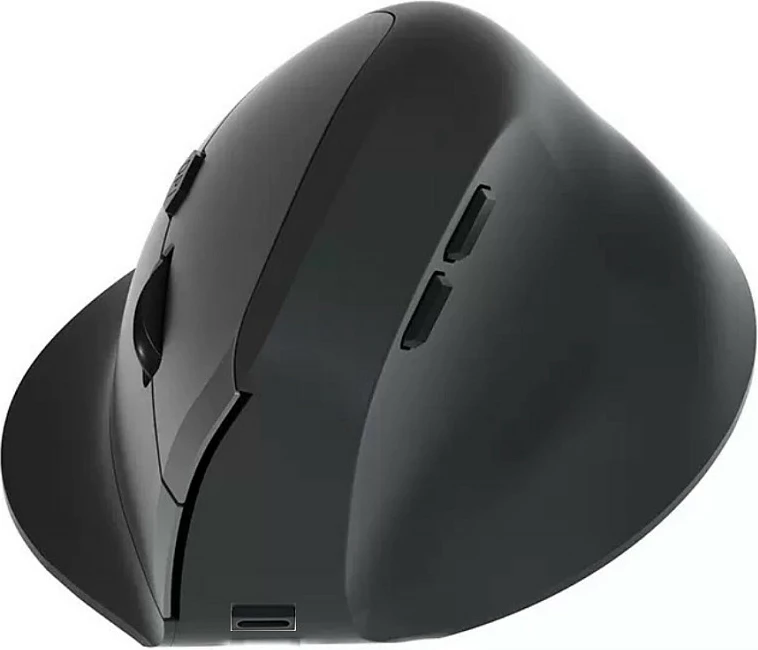 Maus ergonomik EQUIP DM, wireless 2.4GHz + Bluetooth, 6 butona, i zi