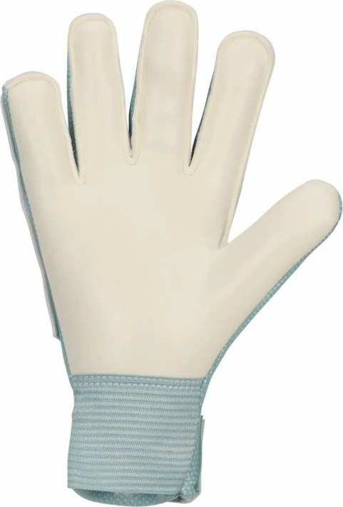 Doreza portieri për fëmijë Nike, të kaltra