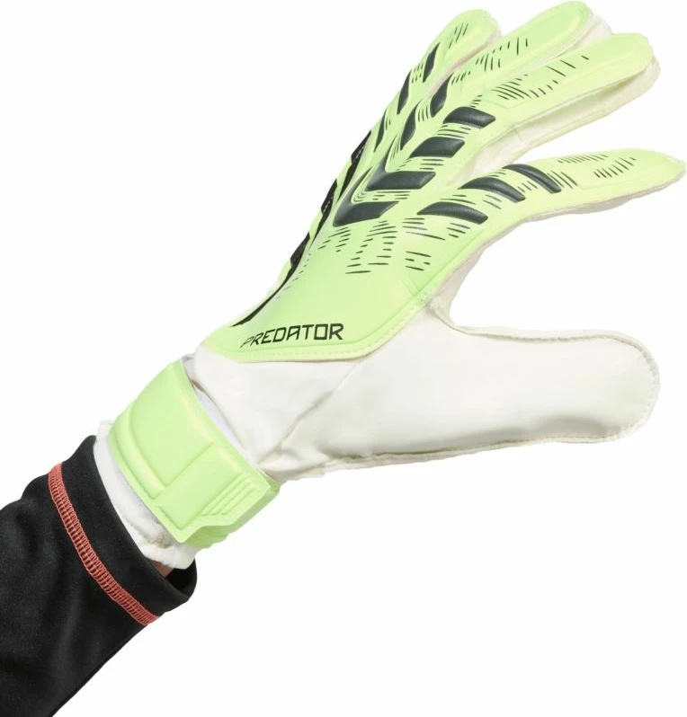 Doreza portieri adidas për meshkuj, të gjelbra [Madhësia: 8.5]