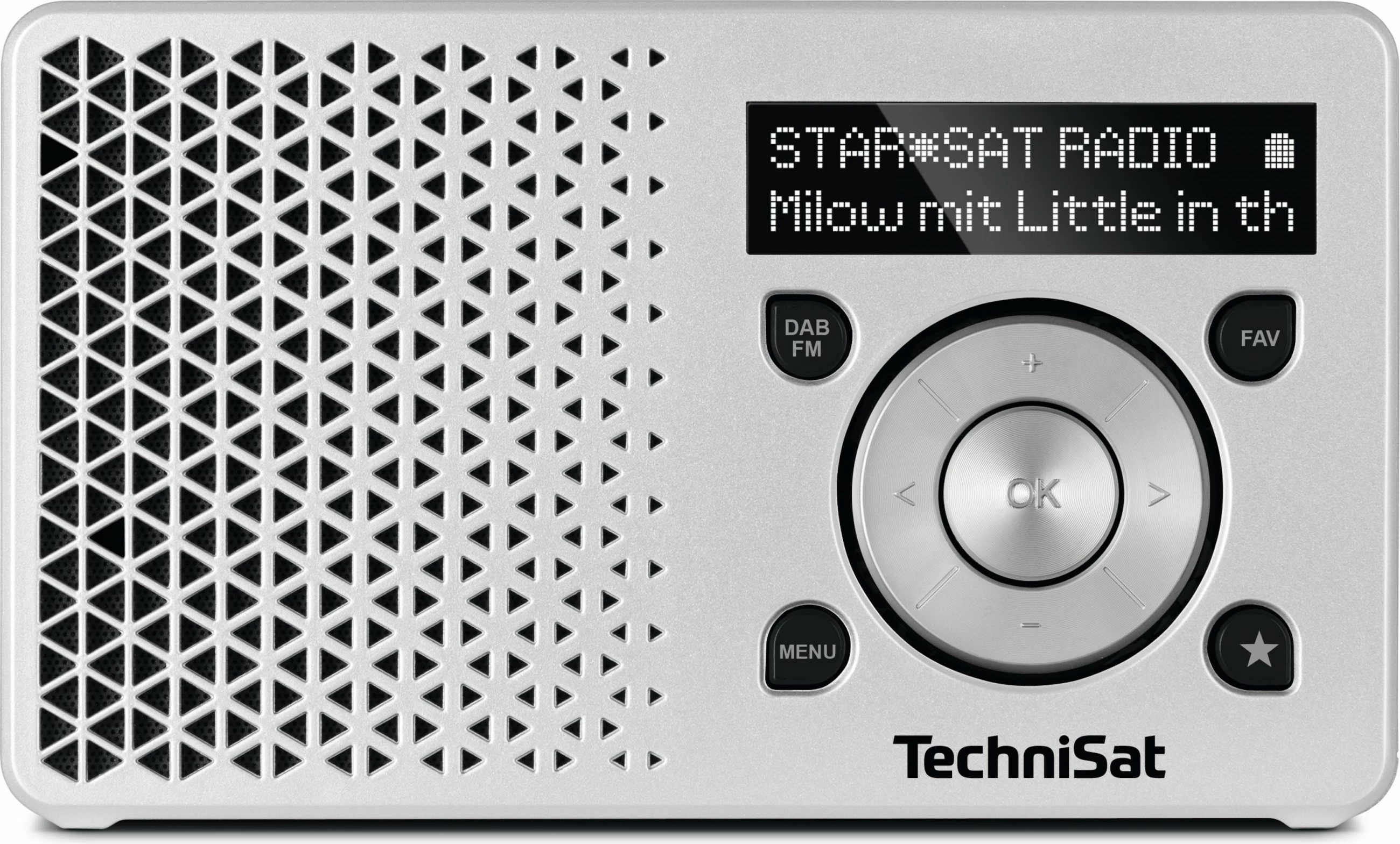 Radio digjitale TechniSat DigitRadio 1, argjend