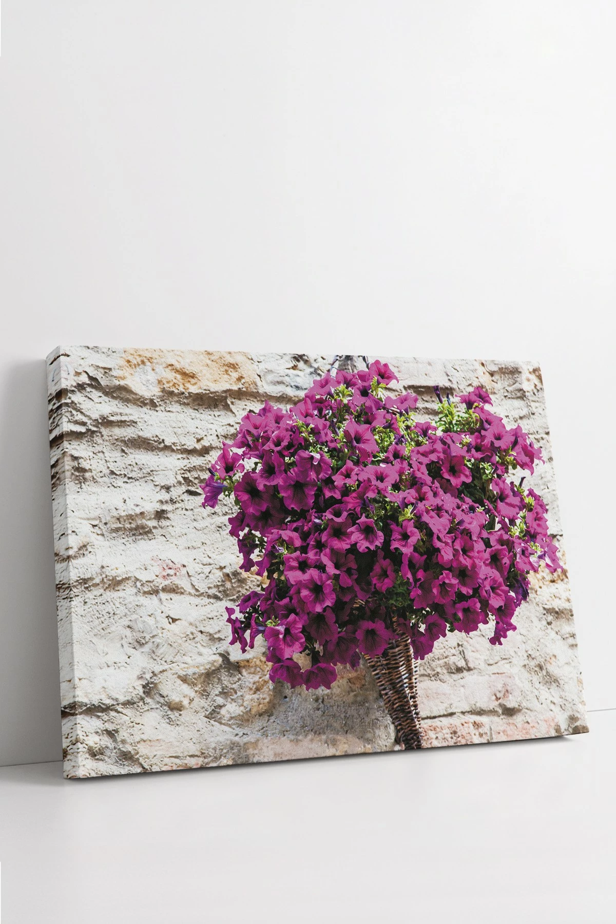Pikturë dekorative në kanavacë, Wallity, Ersyfdc252, shumëngjyrëshe, 50x70cm