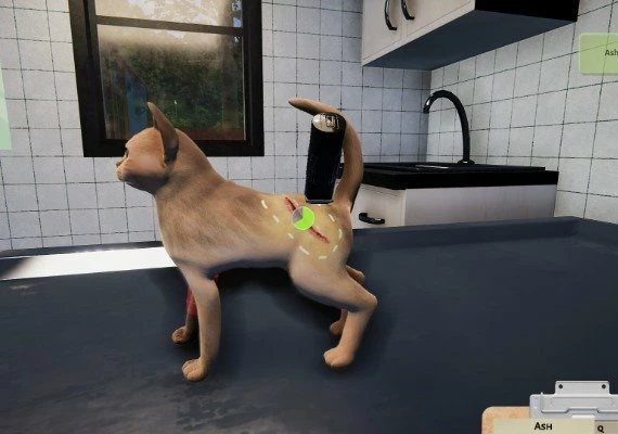 Animal Shelter: Puppies and Kittens  DLC Global
