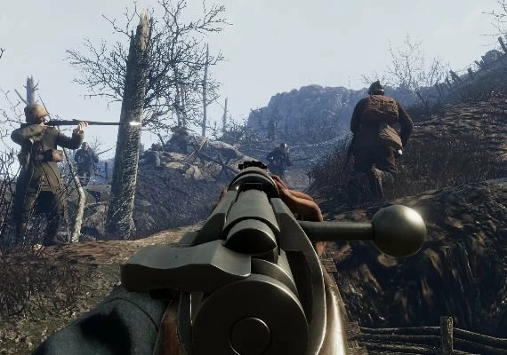 Tannenberg EN Global