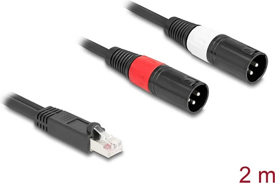Kabllo adapter DeLOCK 88173, RJ-45 në 2x XLR 3-pin, 2 m, e zezë
