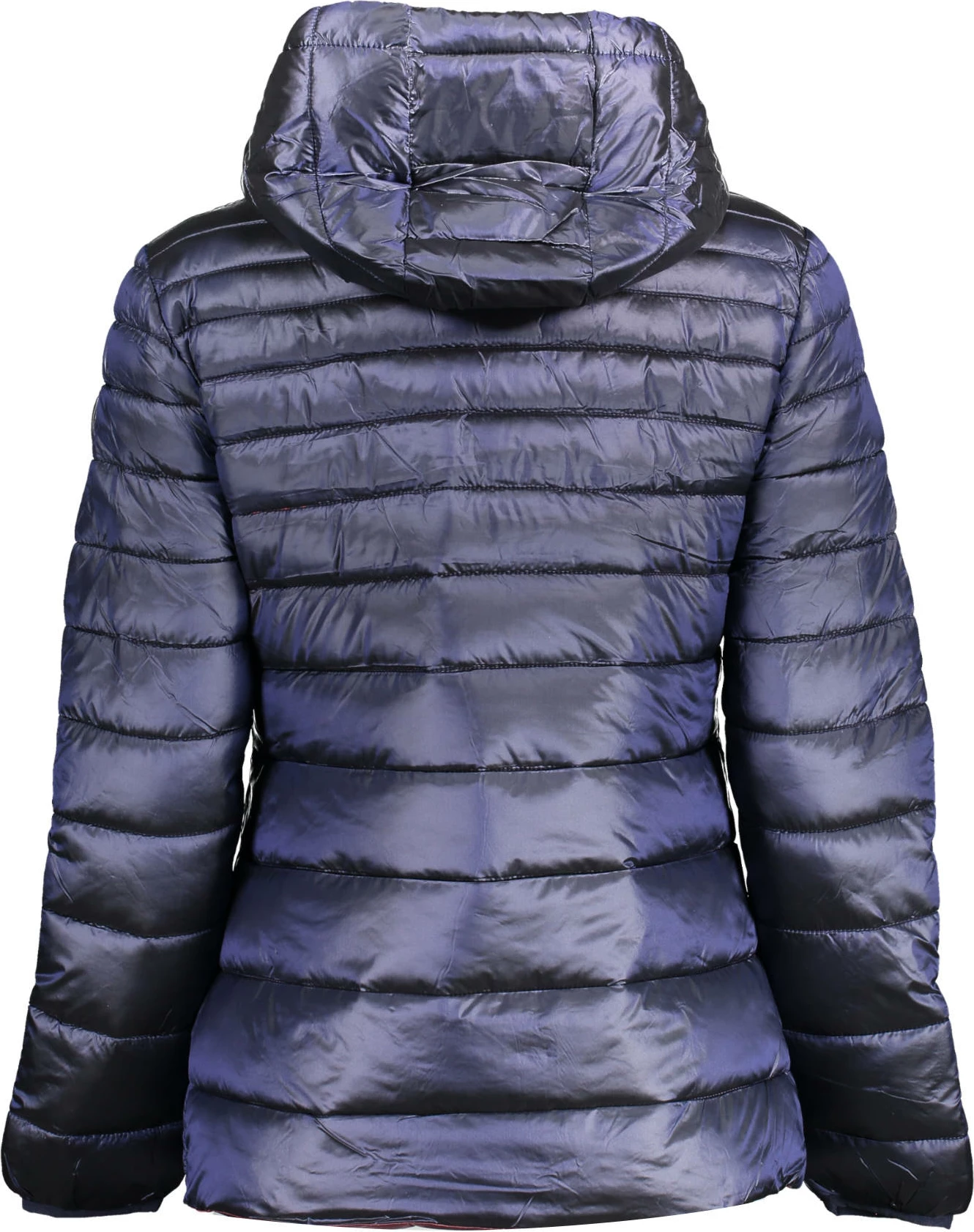 Jakne femra U.S. POLO, blue [Madhësia: 42]