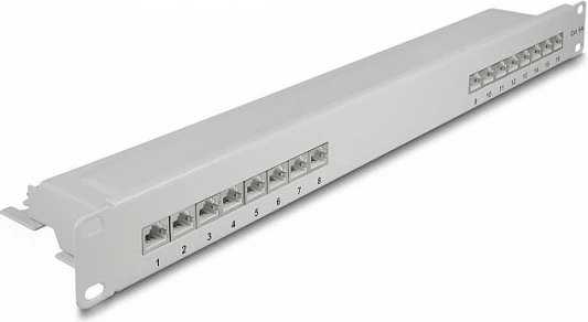 Patch panel DeLOCK 19" 16 port Cat.6A 1U, i hirtë