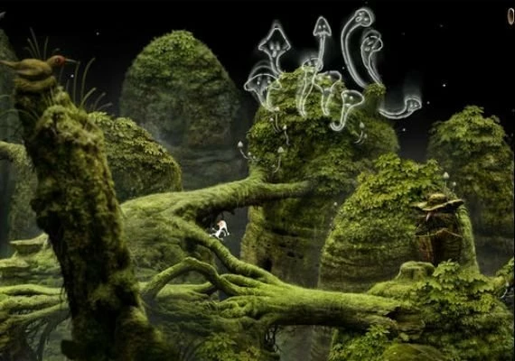 Samorost 3 Cosmic Edition EN/DE/FR/IT/PT/ES Global