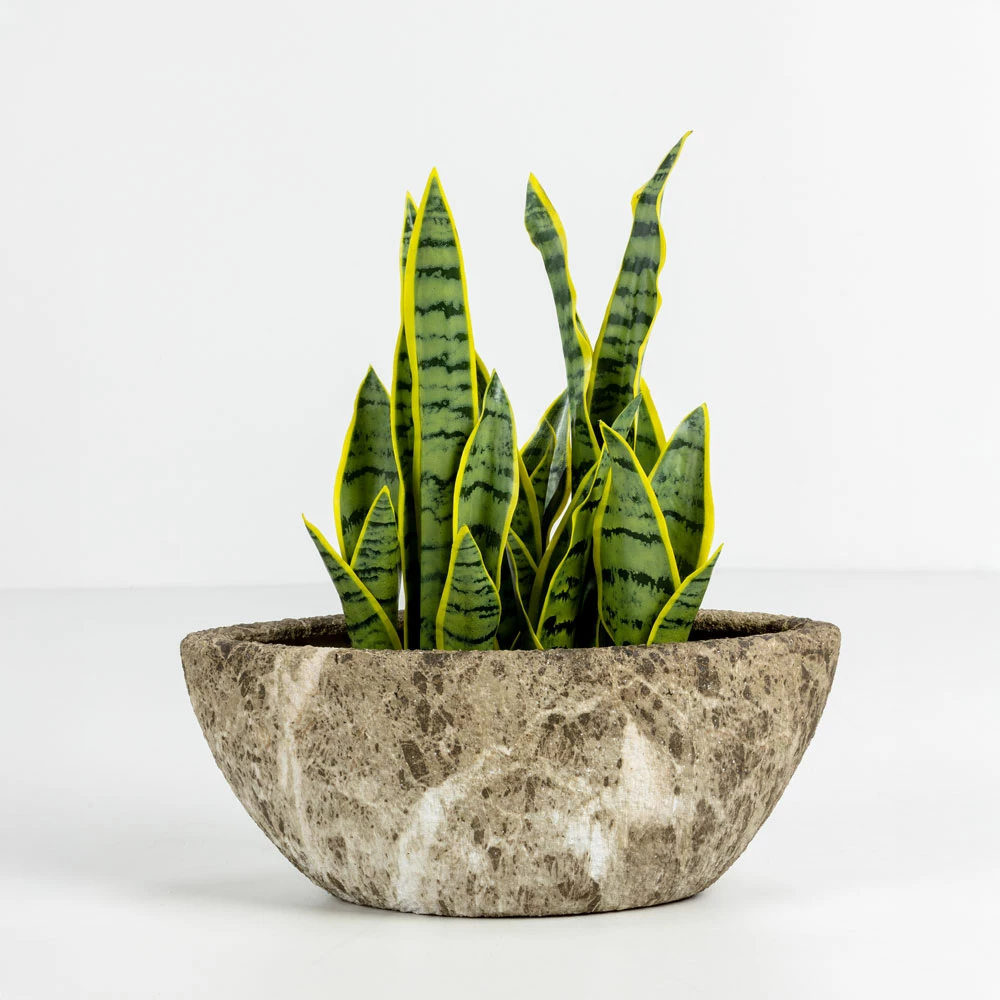 Set vazo për bimë NANGA, 2 copë, qeramikë, bezhë-kafe, 46x22x20cm