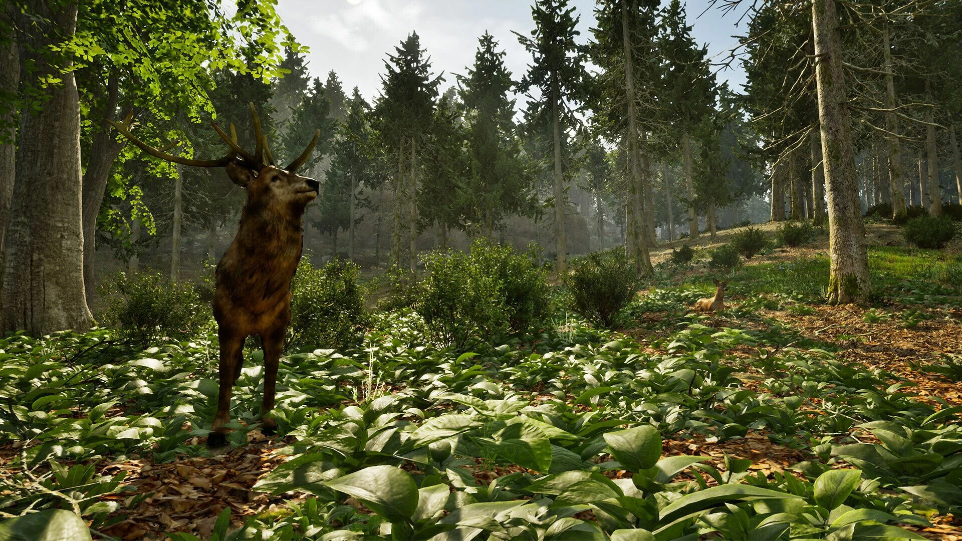 Lojë PS5 Aerosoft Park Ranger Simulator, PEGI 12