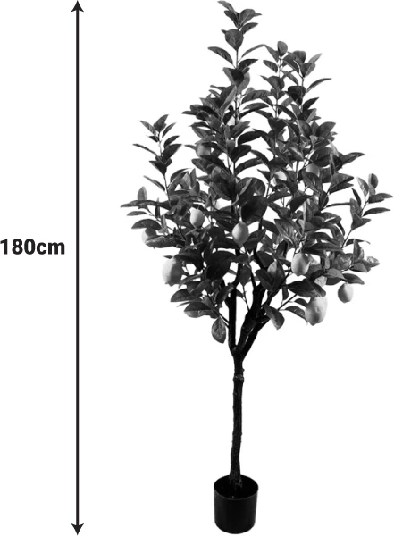 Bimë dekorative limoni në vazo, ngjyrë e gjelbër, 180cm