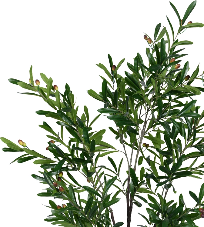 Bimë dekorative ulliri në vazo, jeshile, 150cm