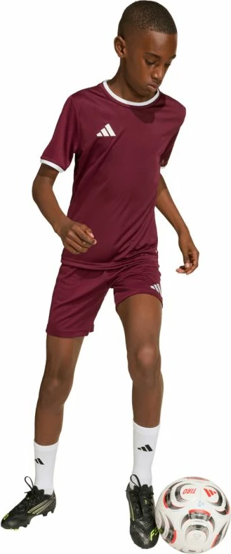 Fanellë futbolli për fëmijë adidas Entrada 26 JZ2530, burgundy