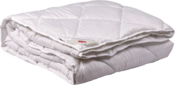 Jorgan Swiss Comfort 160x220cm